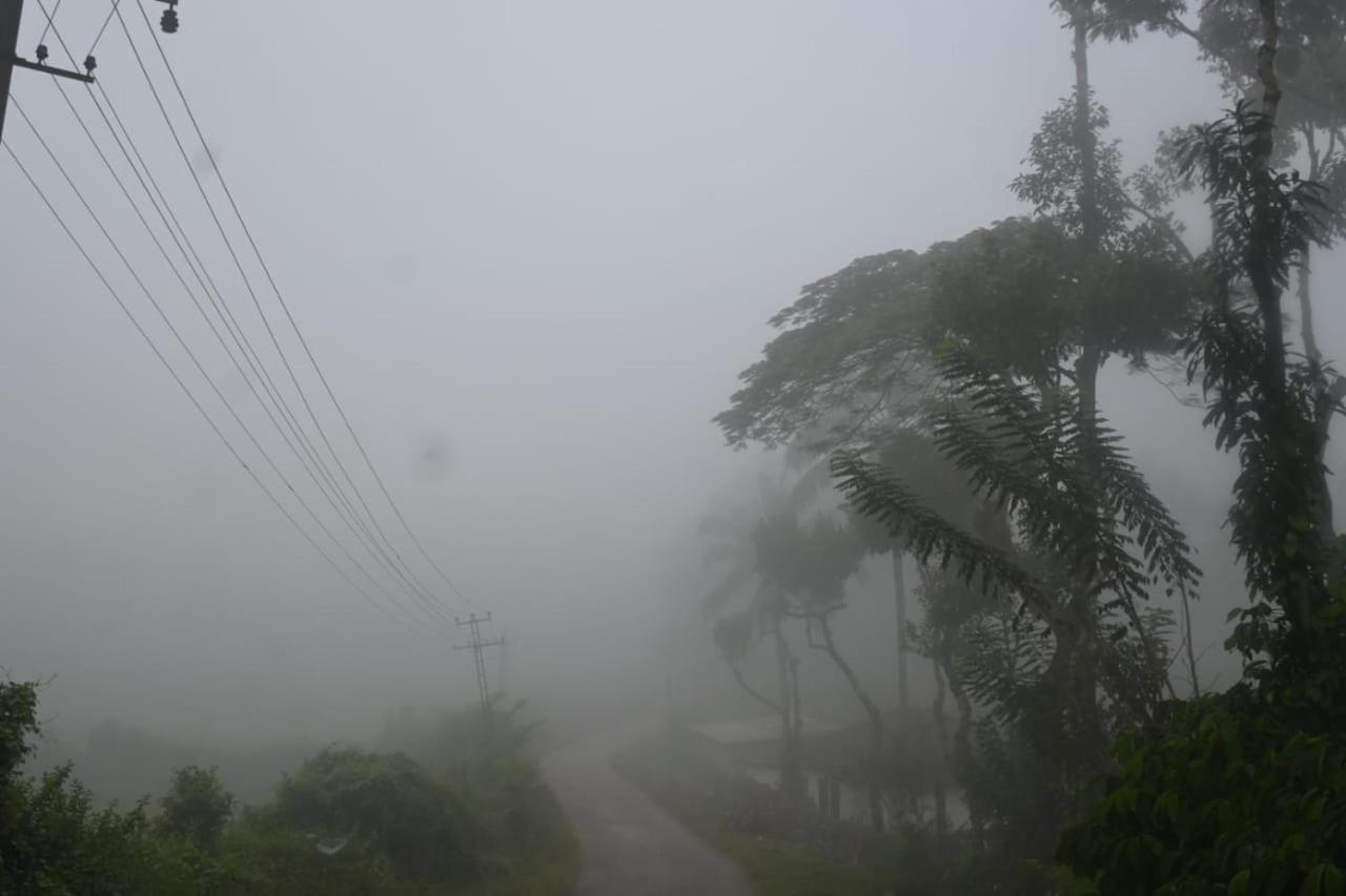 Halase Homestay Mudigere Esterno foto